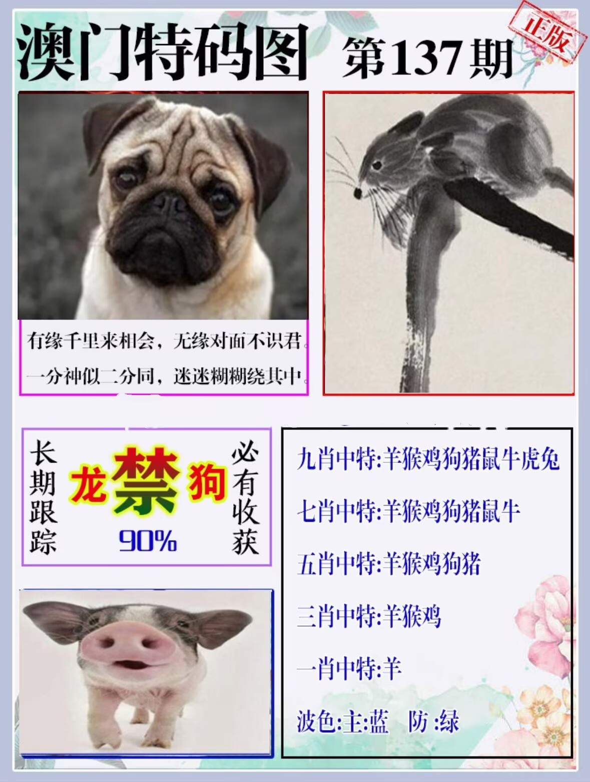 新澳门福彩
